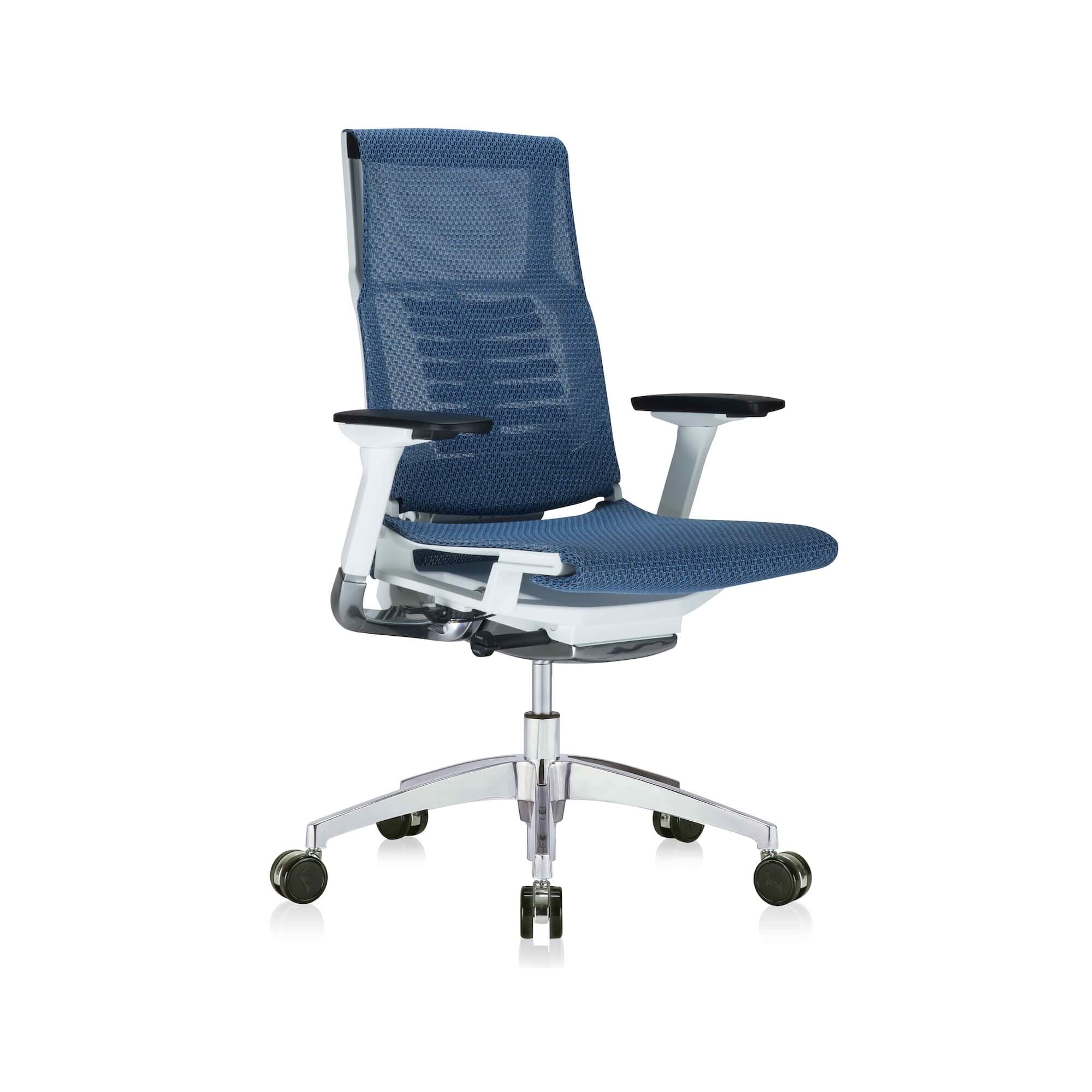Office furniture chairs office desk chairs executive ergonomic office chair for sciatica blue and white frame angle view Office furniture chairs office desk chairs executive ergonomic office chair for sciatica blue and white frame angle view