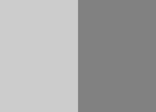 Training table with x leg 6x2 gray gray 16